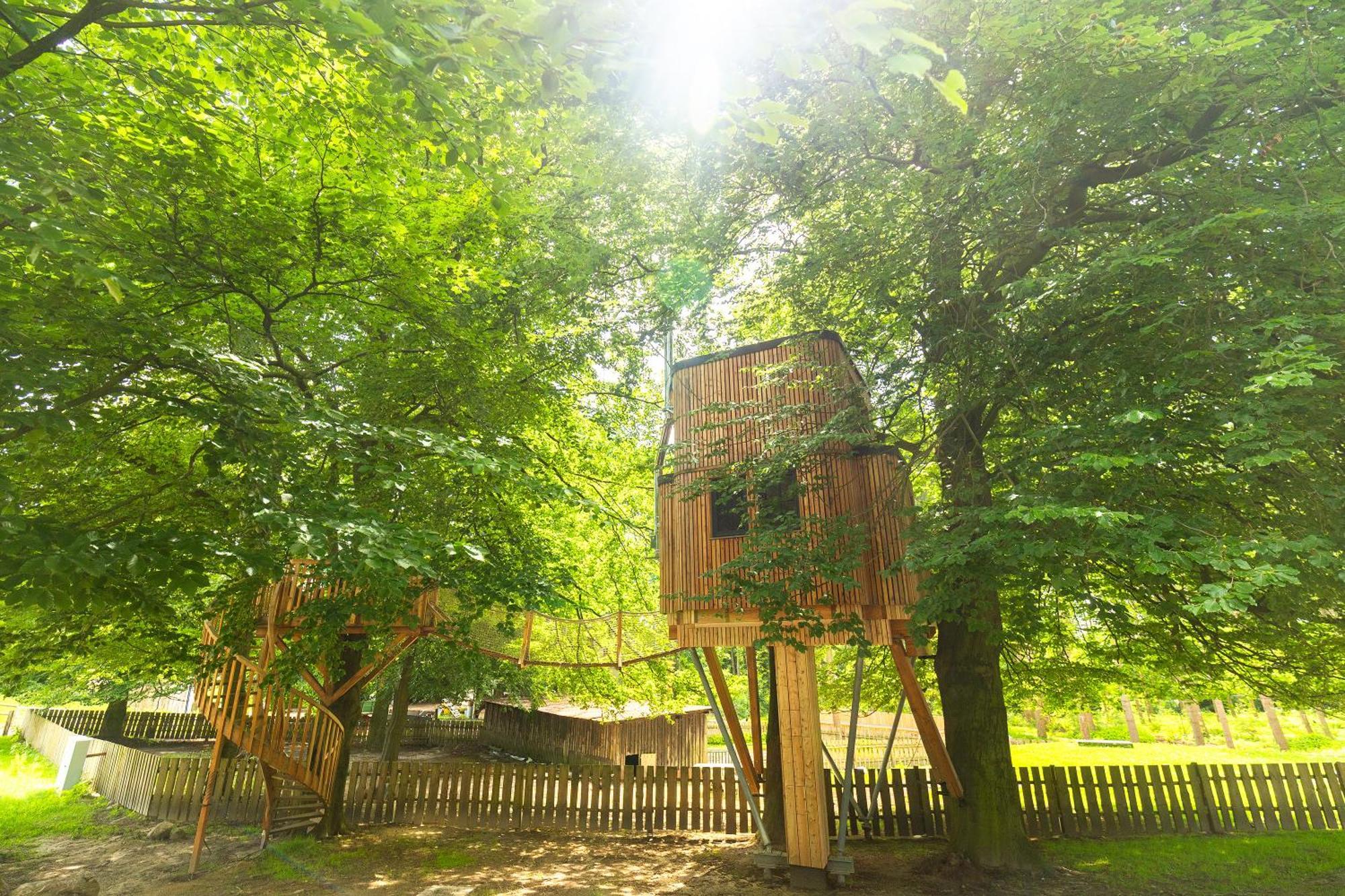 比斯平根Heide Ferien - Hof Bockelmann公寓 客房 照片
